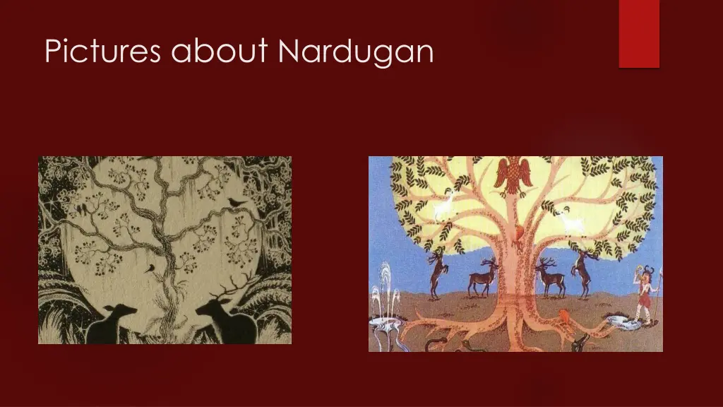 pictures about nardugan