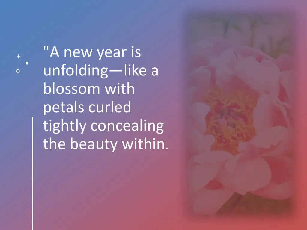 a new year is unfolding like a blossom with