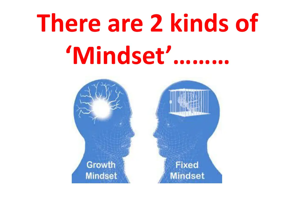 there are 2 kinds of mindset