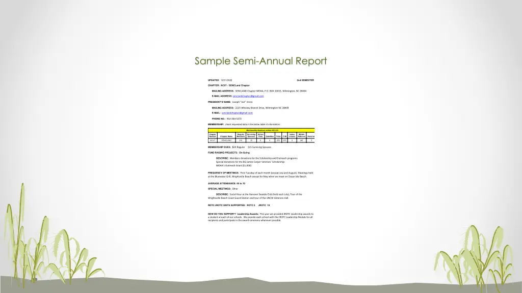 sample semi annual report chapter report this