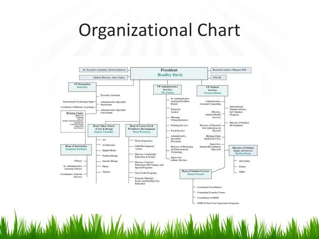 organizational chart