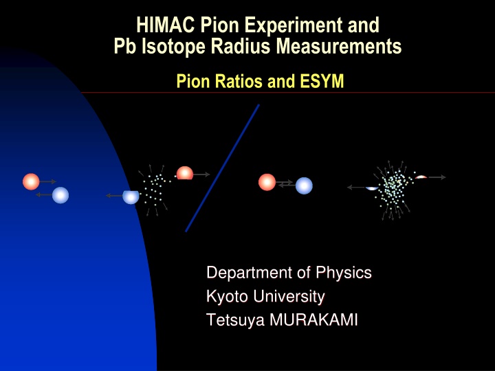 himac pion experiment and pb isotope radius