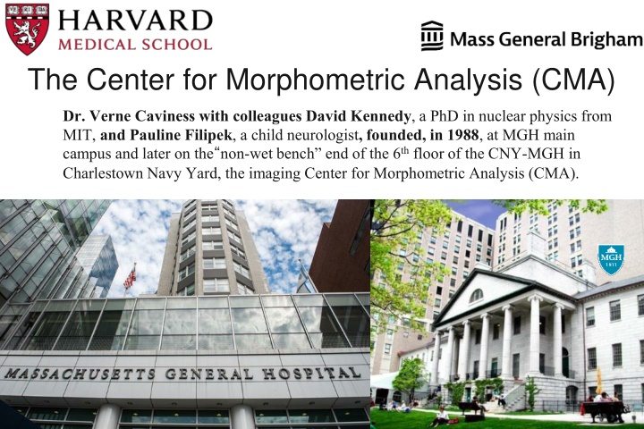 the center for morphometric analysis cma