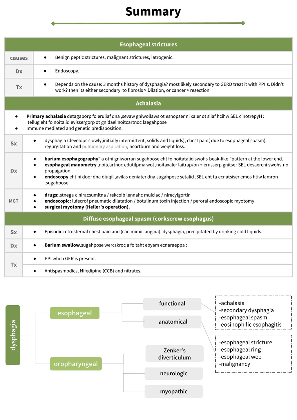 summary 1