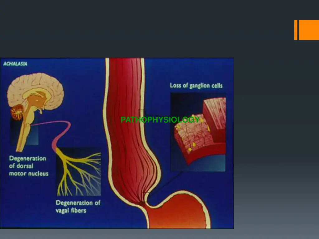 pathophysiology