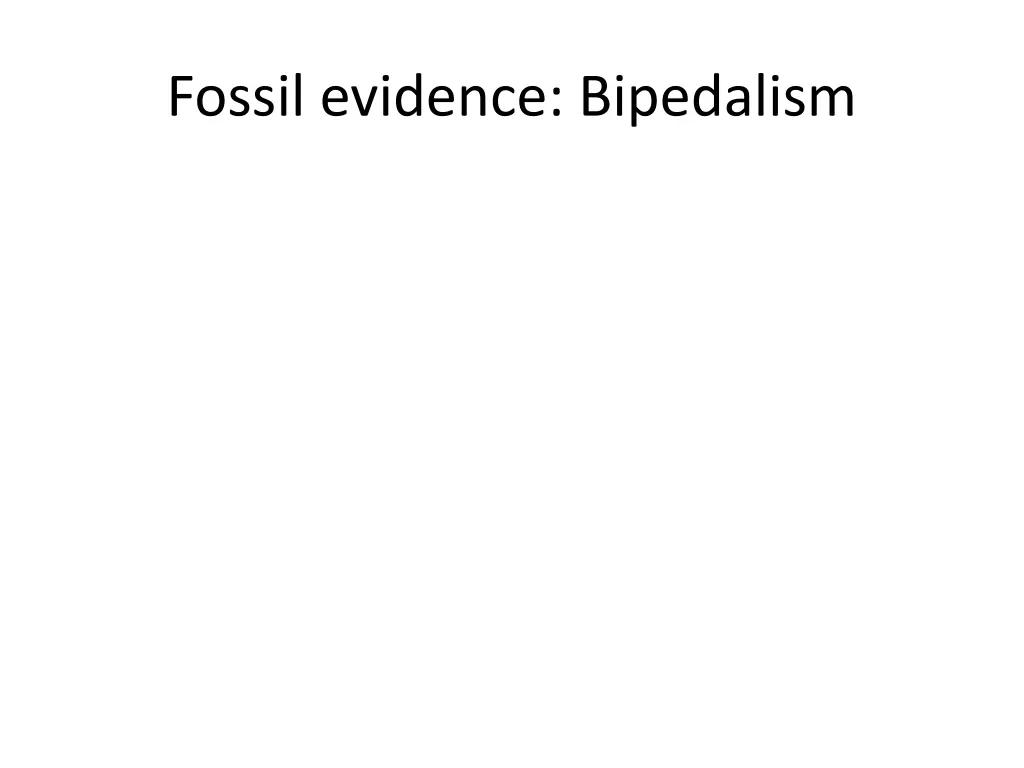 fossil evidence bipedalism