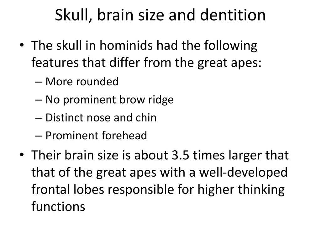 skull brain size and dentition