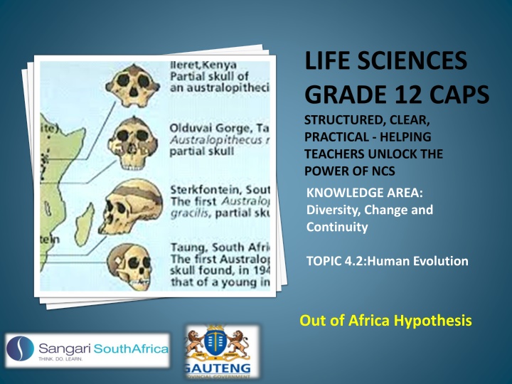 life sciences grade 12 caps structured clear