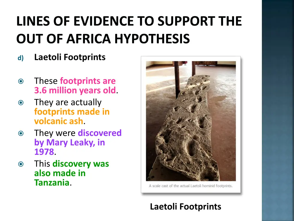 lines of evidence to support the out of africa 10