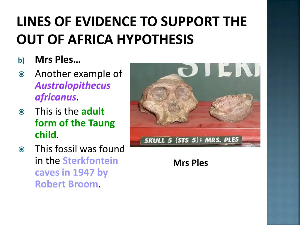 lines of evidence to support the out of africa 2