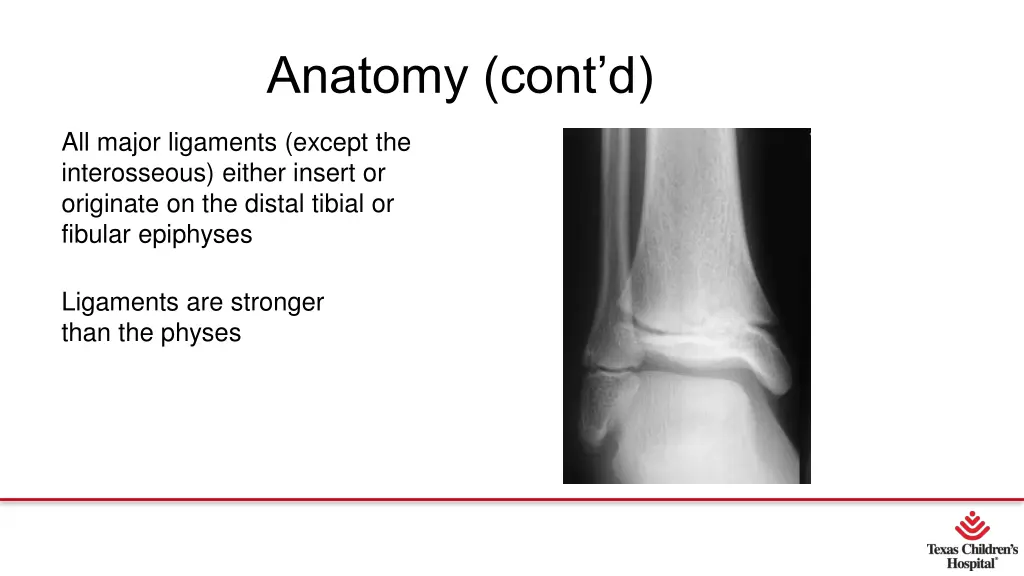 anatomy cont d