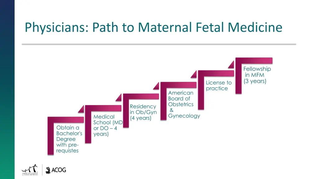 physicians path to maternal fetal medicine