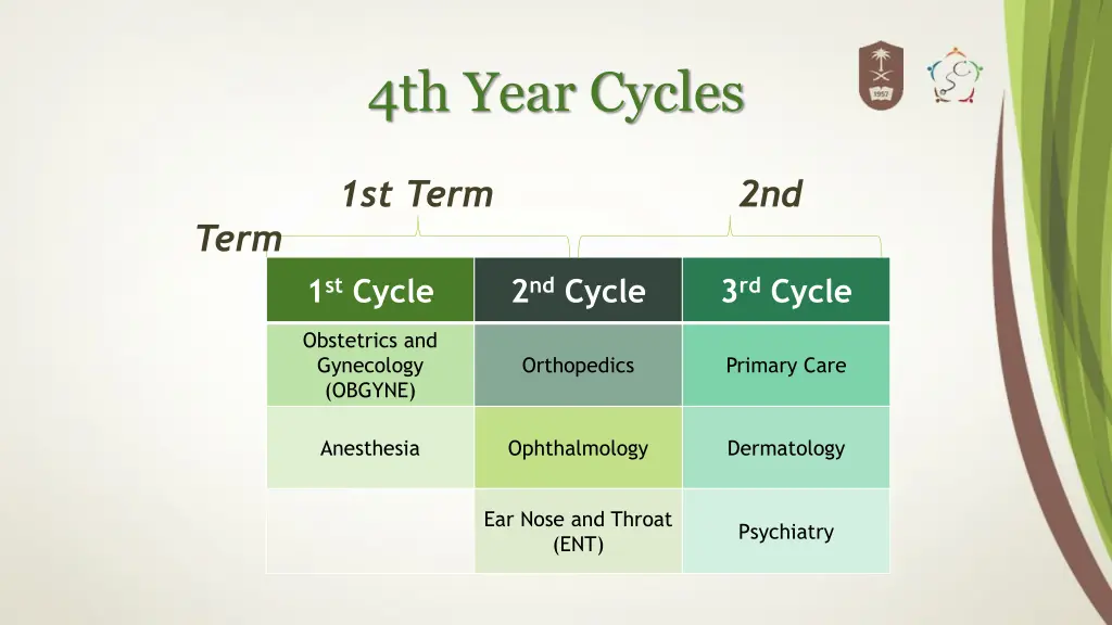 4th year cycles