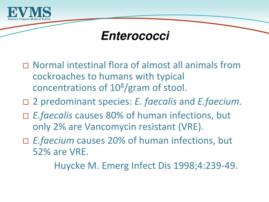 enterococci