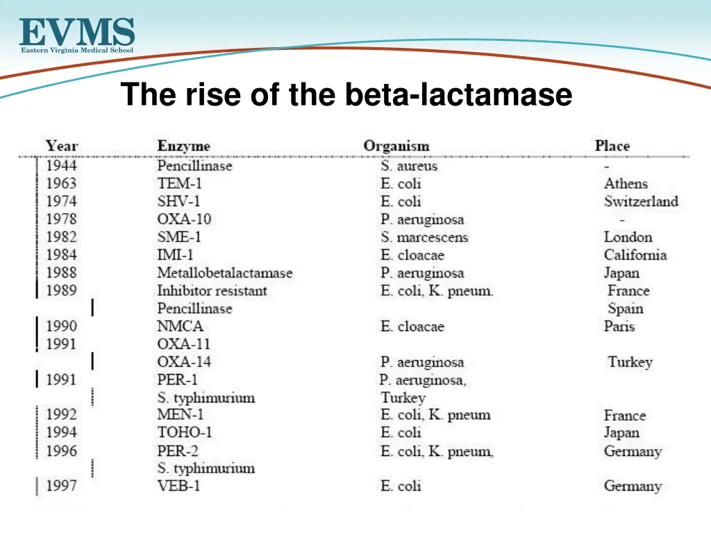 the rise of the beta lactamase