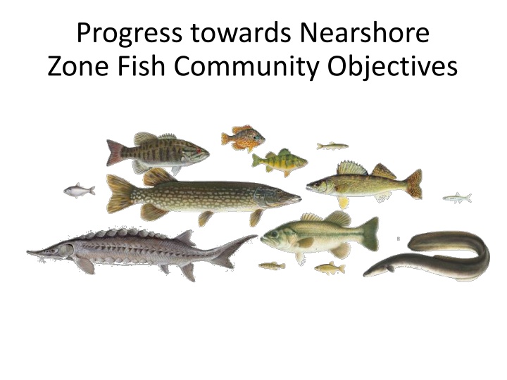 progress towards nearshore zone fish community