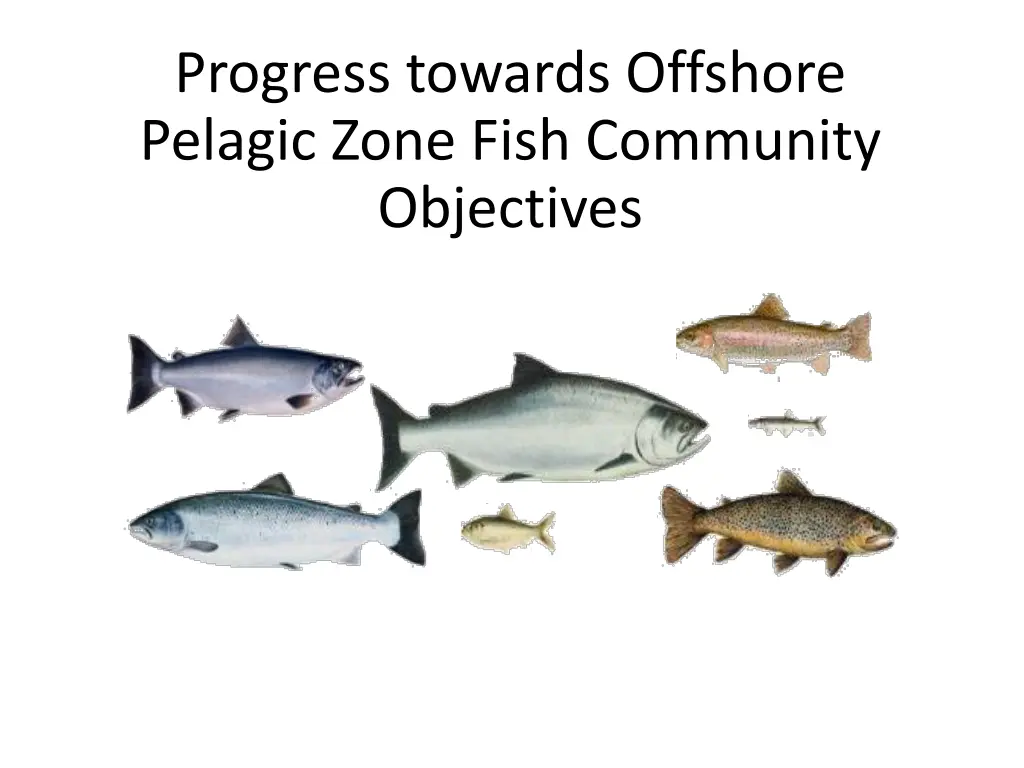 progress towards offshore pelagic zone fish