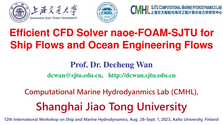 efficient cfd solver naoe foam sjtu for ship