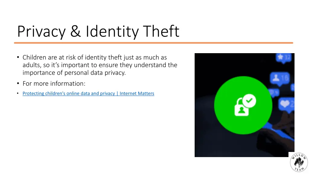 privacy identity theft