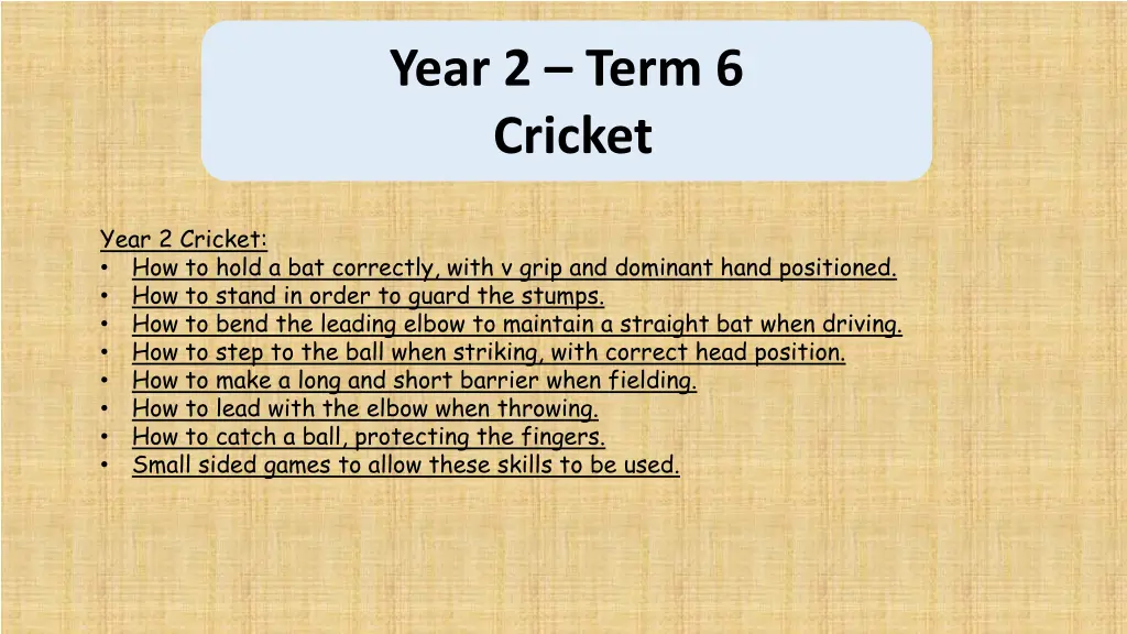 year 2 term 6 cricket