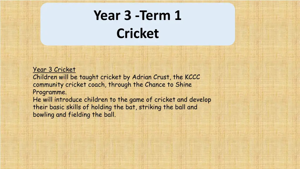 year 3 term 1 cricket