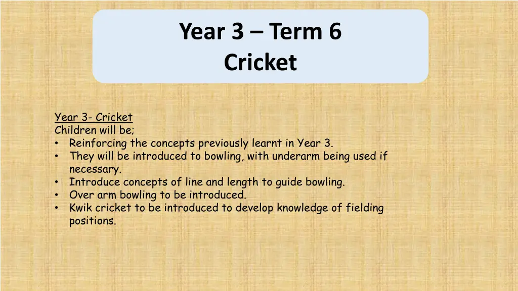 year 3 term 6 cricket