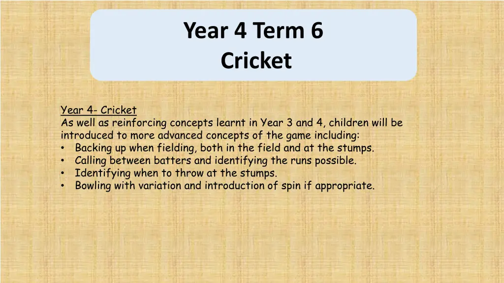 year 4 term 6 cricket