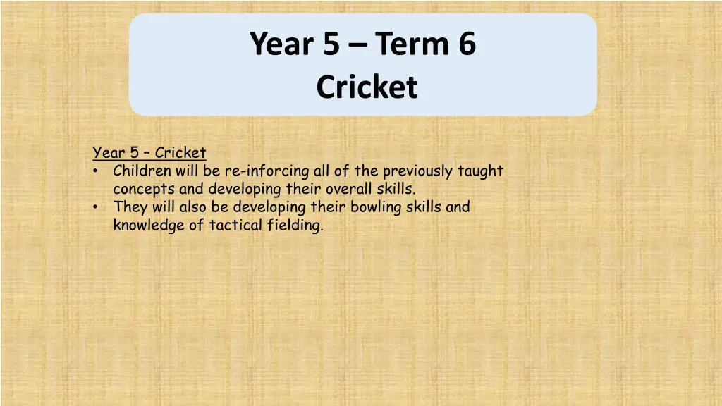 year 5 term 6 cricket