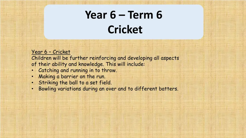 year 6 term 6 cricket