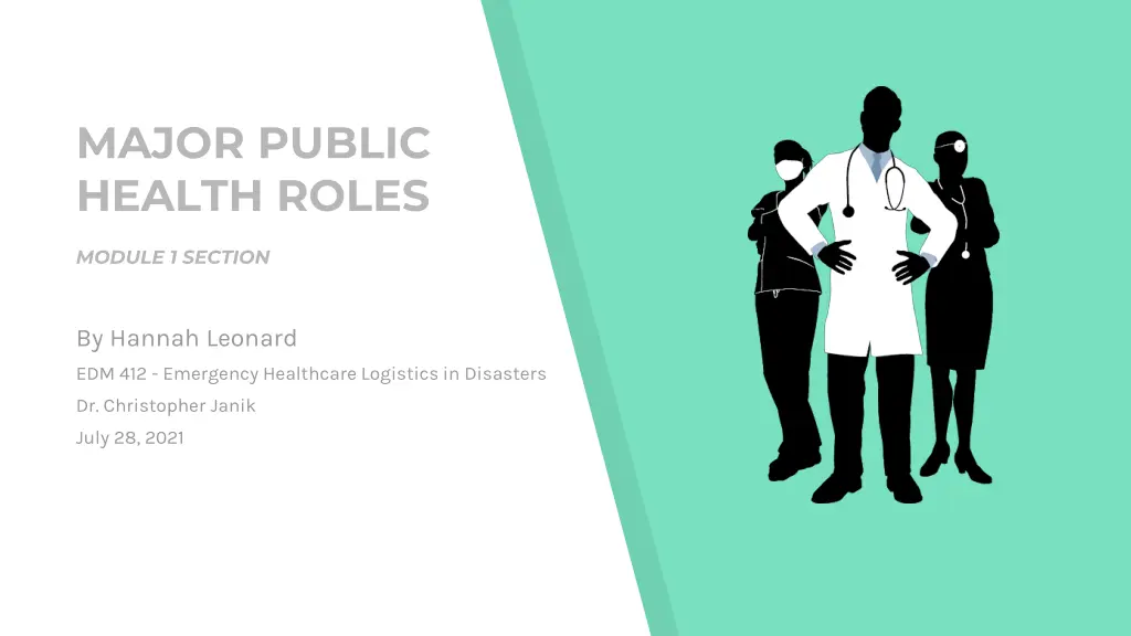 major public health roles