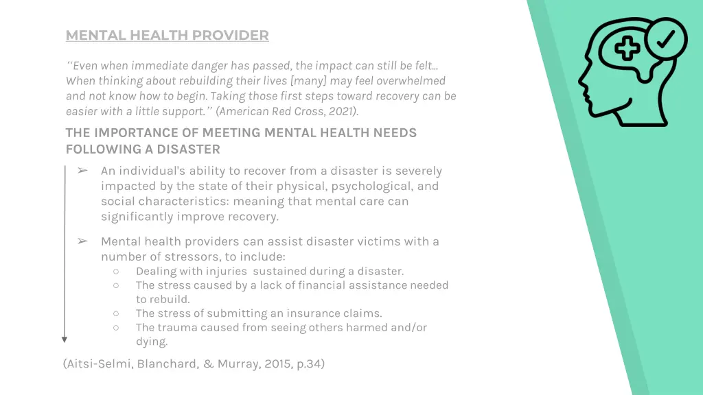 mental health provider