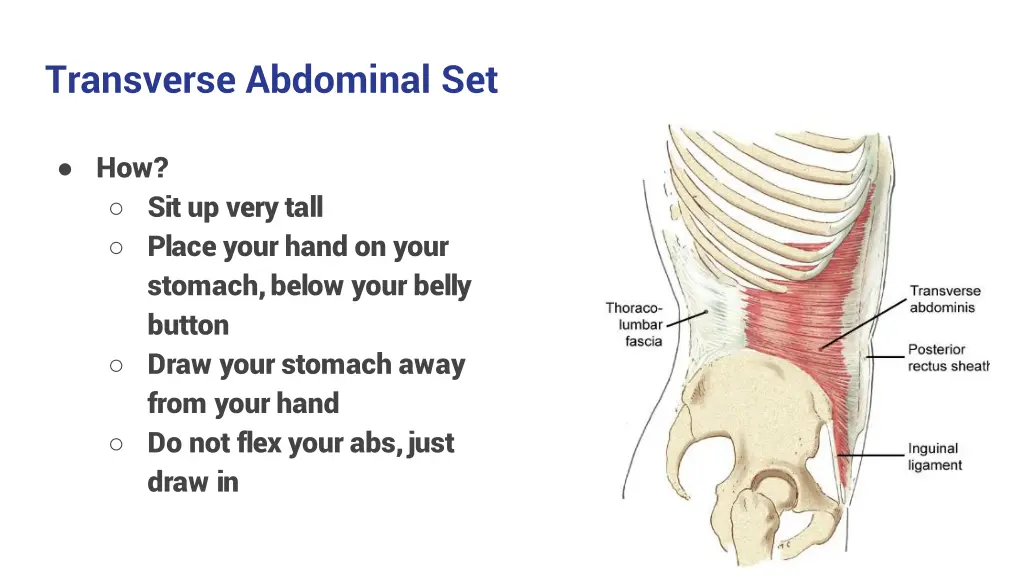 transverse abdominal set