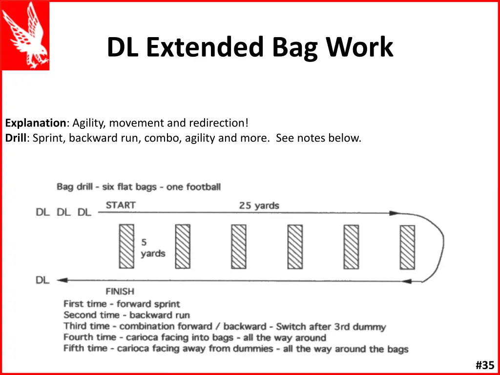 dl extended bag work