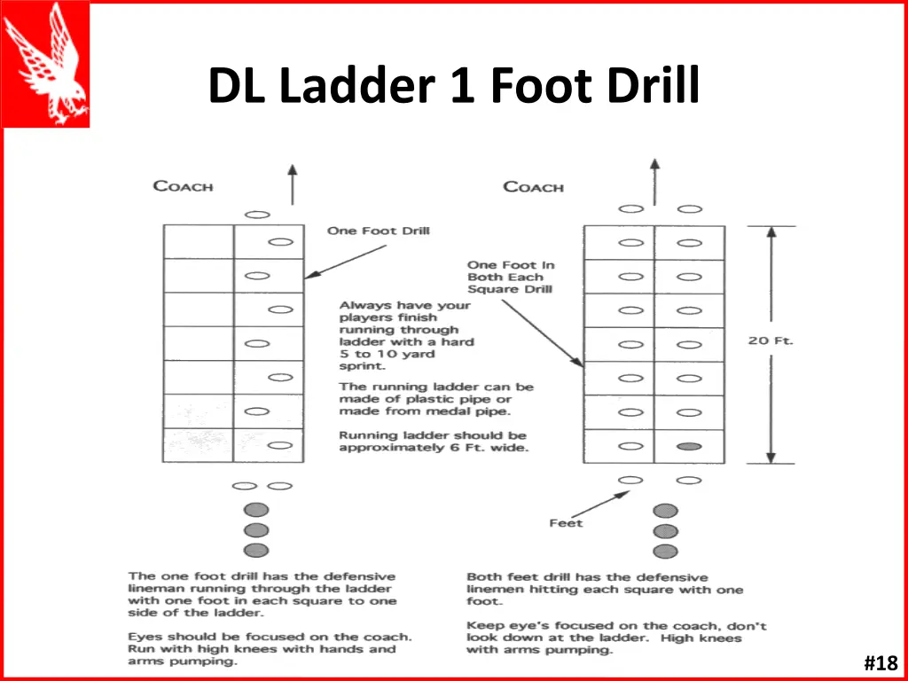 dl ladder 1 foot drill