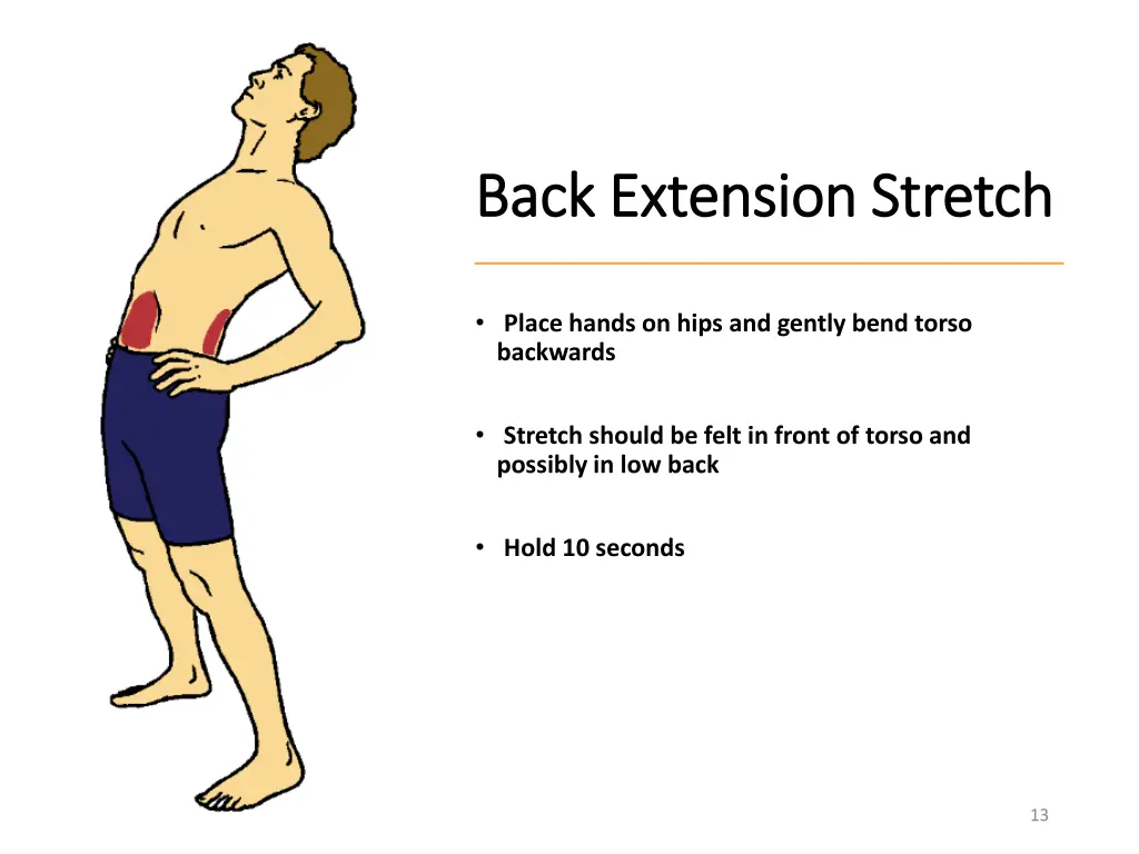 back extension stretch back extension stretch