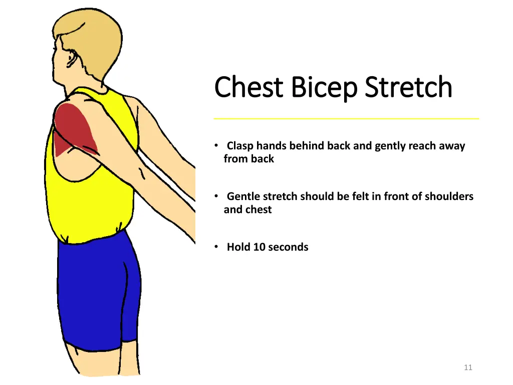 chest bicep stretch chest bicep stretch