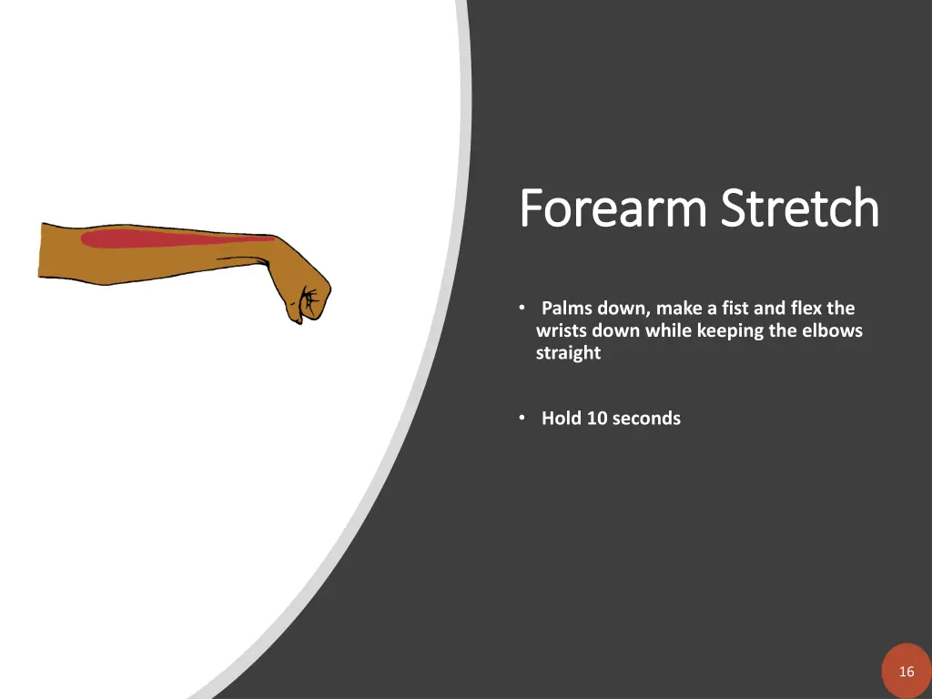 forearm stretch forearm stretch