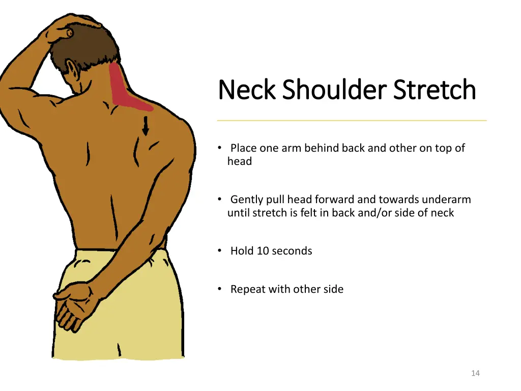 neck shoulder stretch neck shoulder stretch