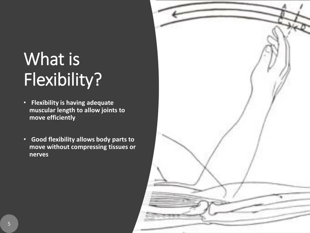 what is what is flexibility flexibility