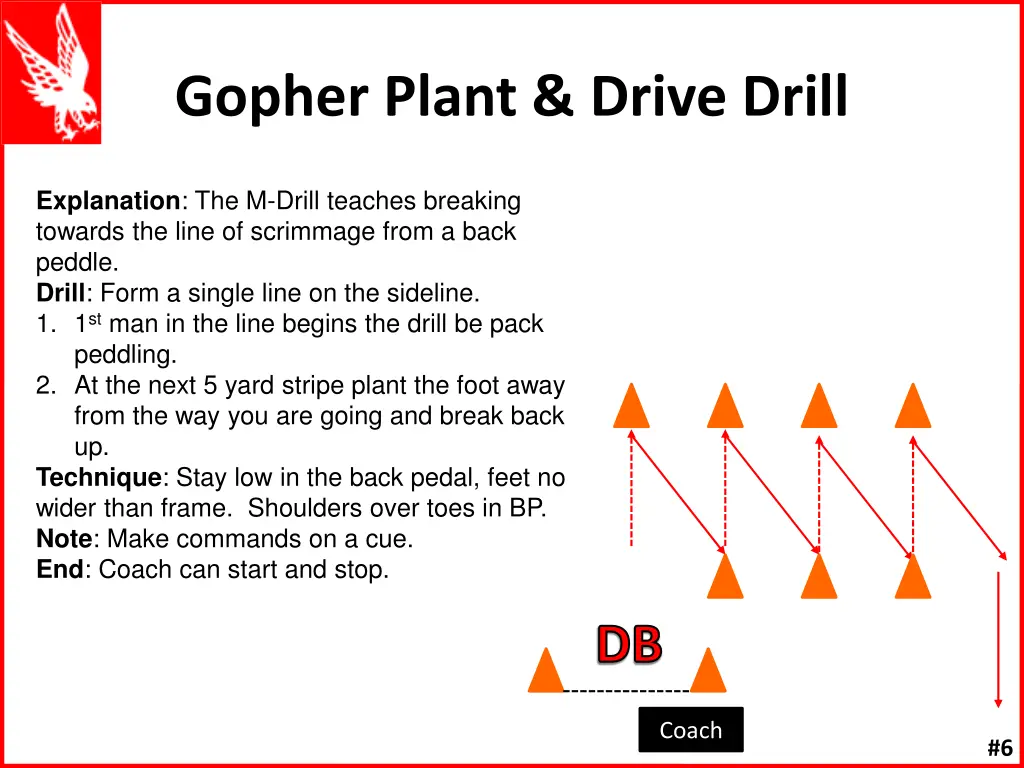 gopher plant drive drill