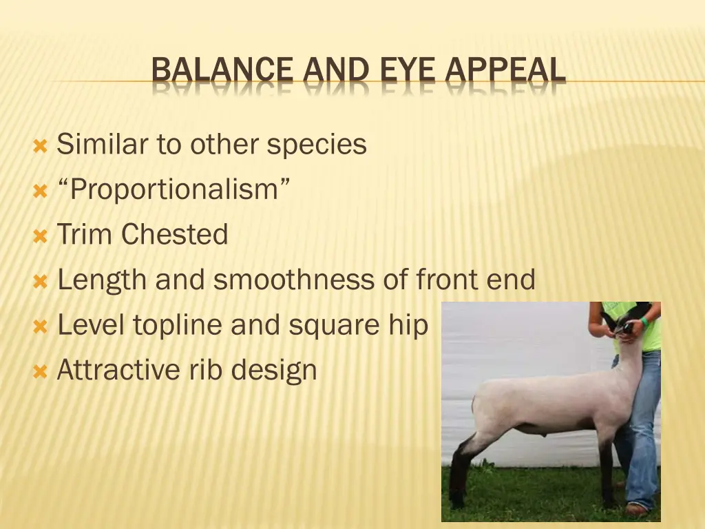 balance and eye appeal 1