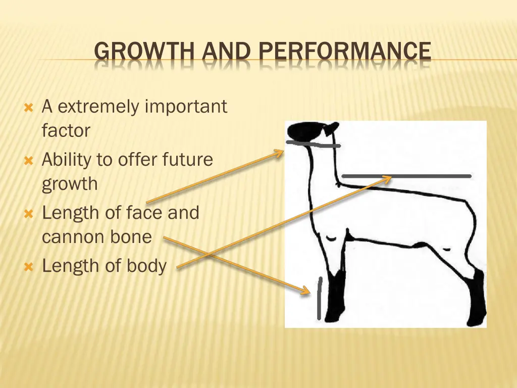 growth and performance