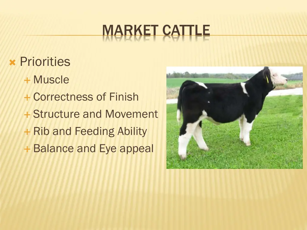 market cattle