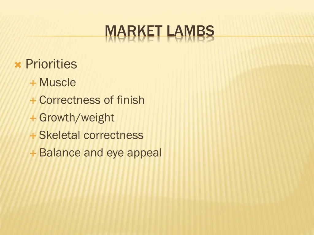 market lambs