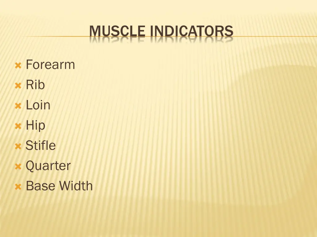 muscle indicators