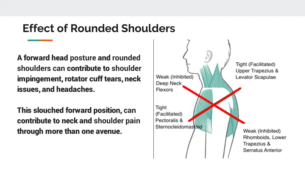 effect of rounded shoulders