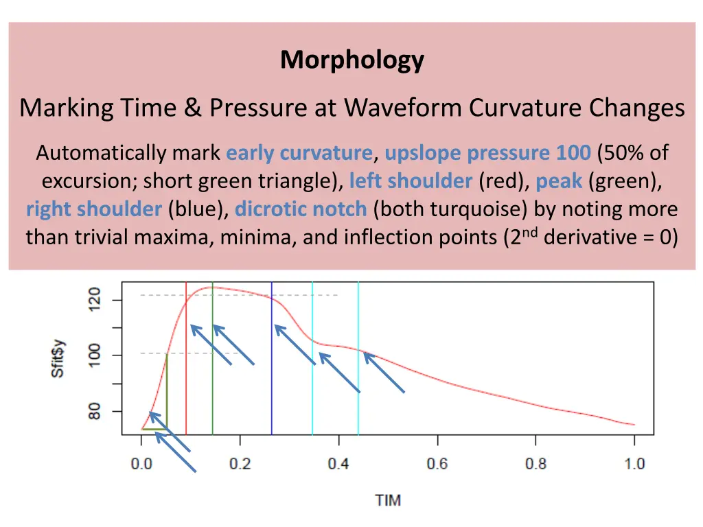 morphology