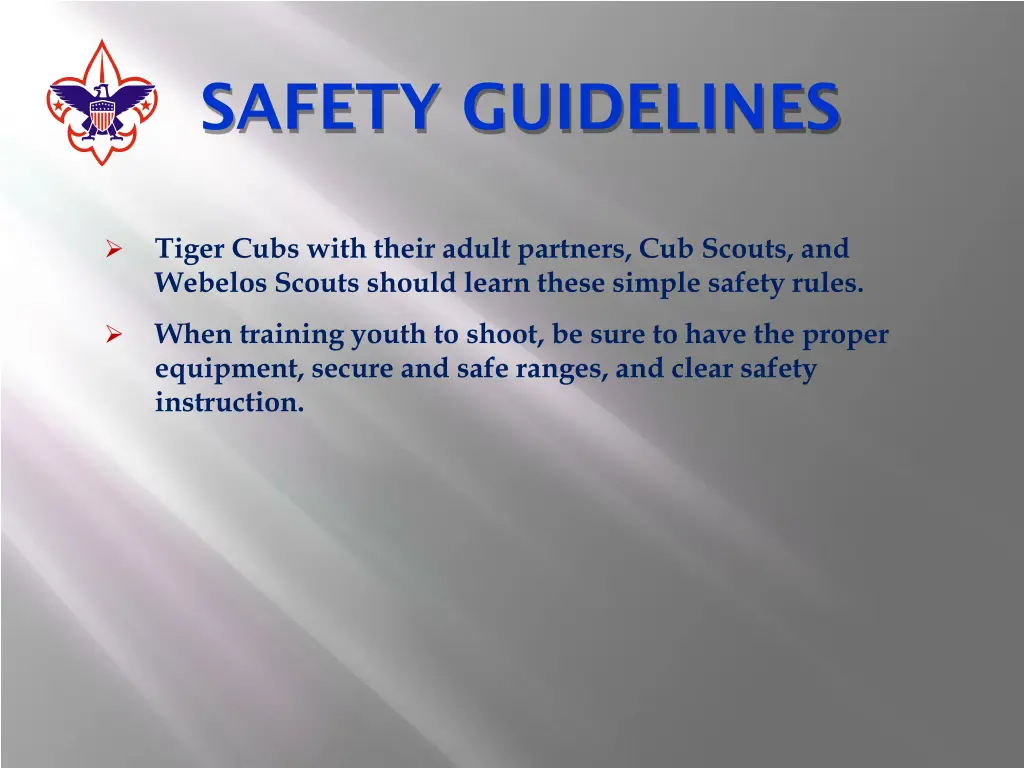 safety guidelines