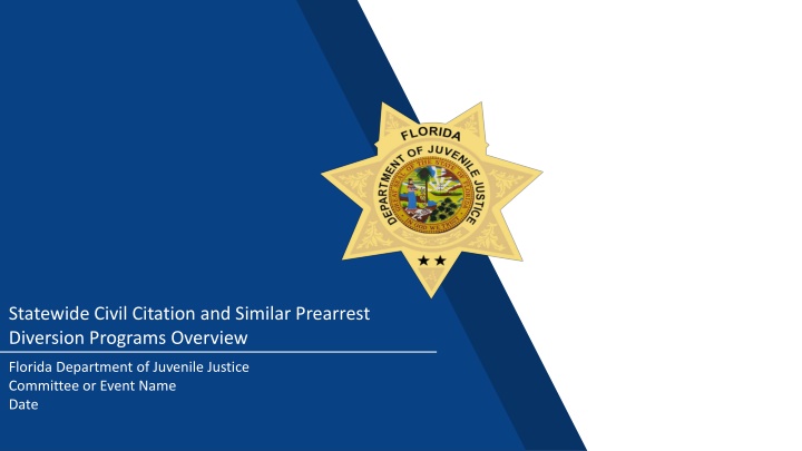 statewide civil citation and similar prearrest