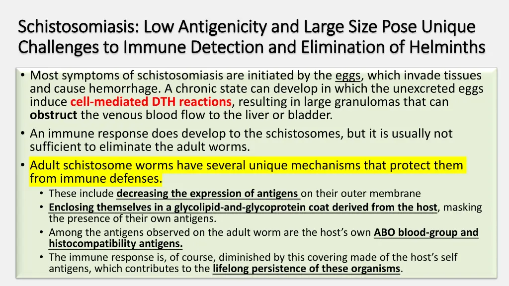 schistosomiasis low antigenicity and large size